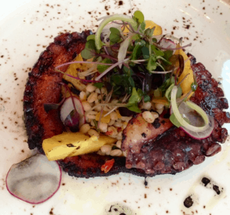 Lupo Verde’s Pulpo with orzo appetizer.