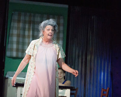 Susan Wefel (Grandma). Photo by Laura Briglia Photography.