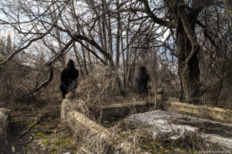 Photo by Daniel Kontz.