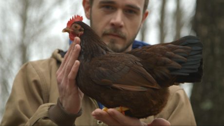 'Chicken People.'