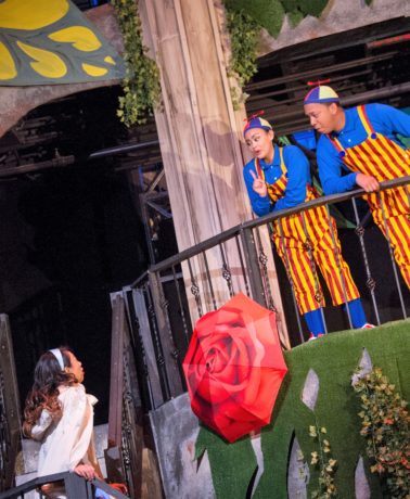 Alice (Alexandra Palting) has an encounter with Tweedle Dee (Donna Ibale) and Tweedle Dum (JC Payne). Photo by C. Stanley Photography